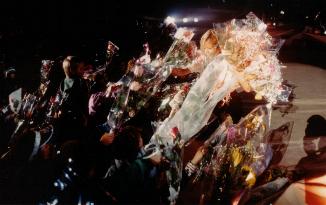 Do en concert : une pluie de fleurs...